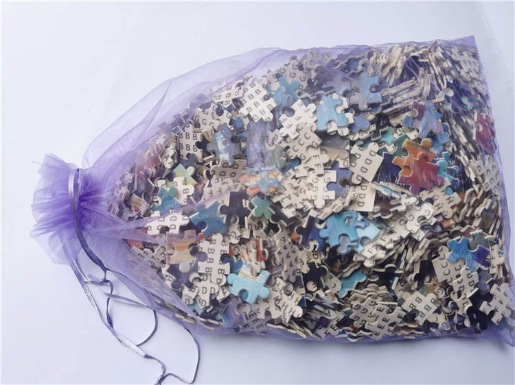 1000 piece jigsaw puzzles for adults